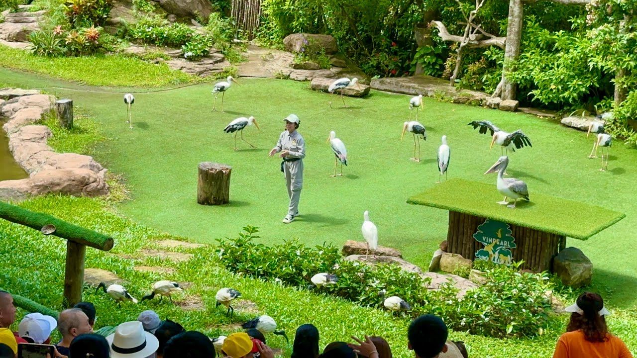 [Red River Tours] Explore Safari and Rach Vem Starfish Beach With Russian Guide