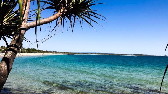 陽光海岸水族館+陽光海岸+蒙特維爾鎮+布里斯本植物園※