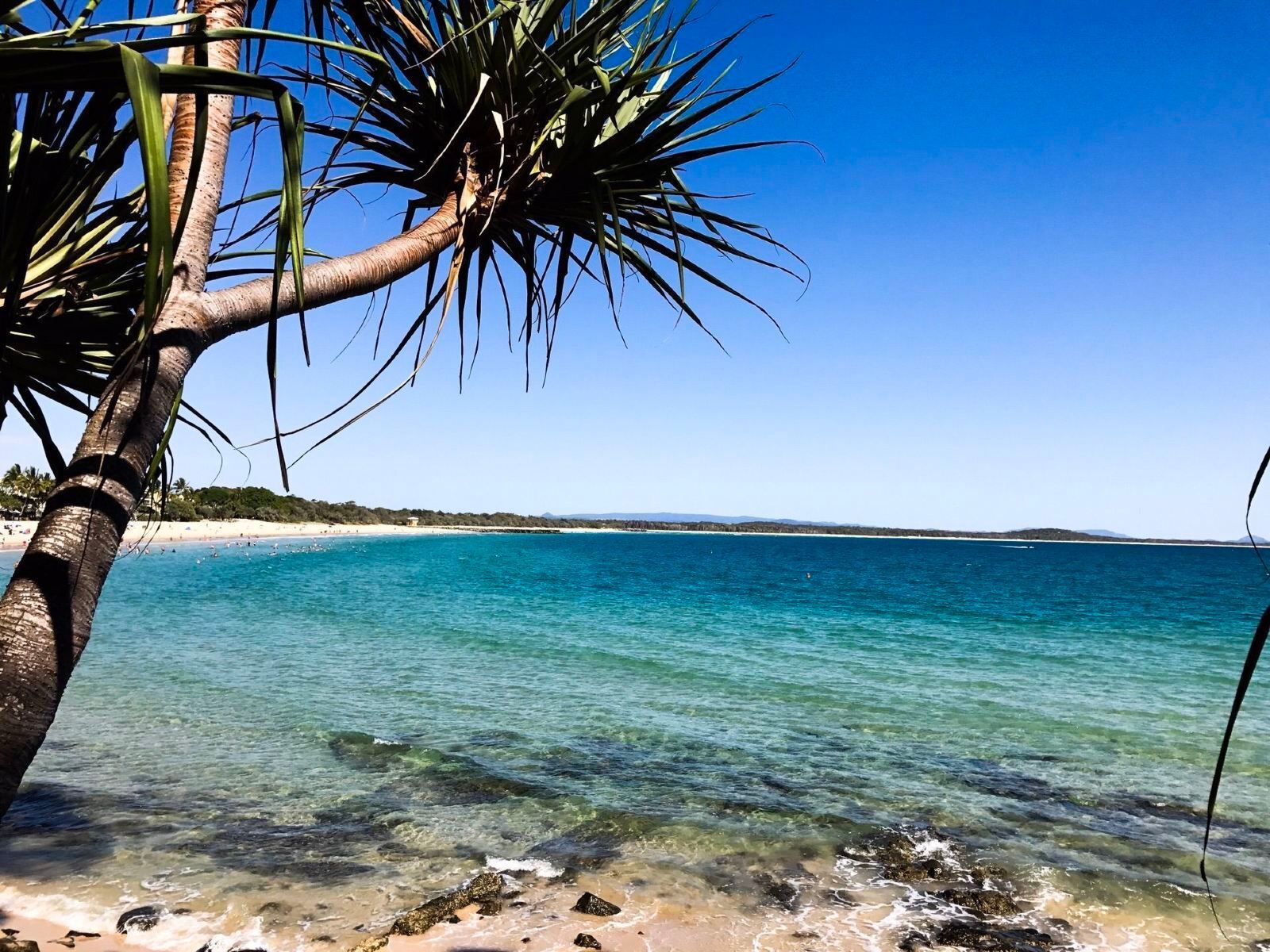布里斯本包車1日遊｜陽光海岸+蒙特維爾鎮｜行程可定制※