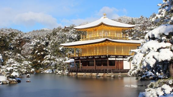 日本京都嵐山＆伏見稻荷大社＆奈良公園一日遊丨可升級神戶牛餐食