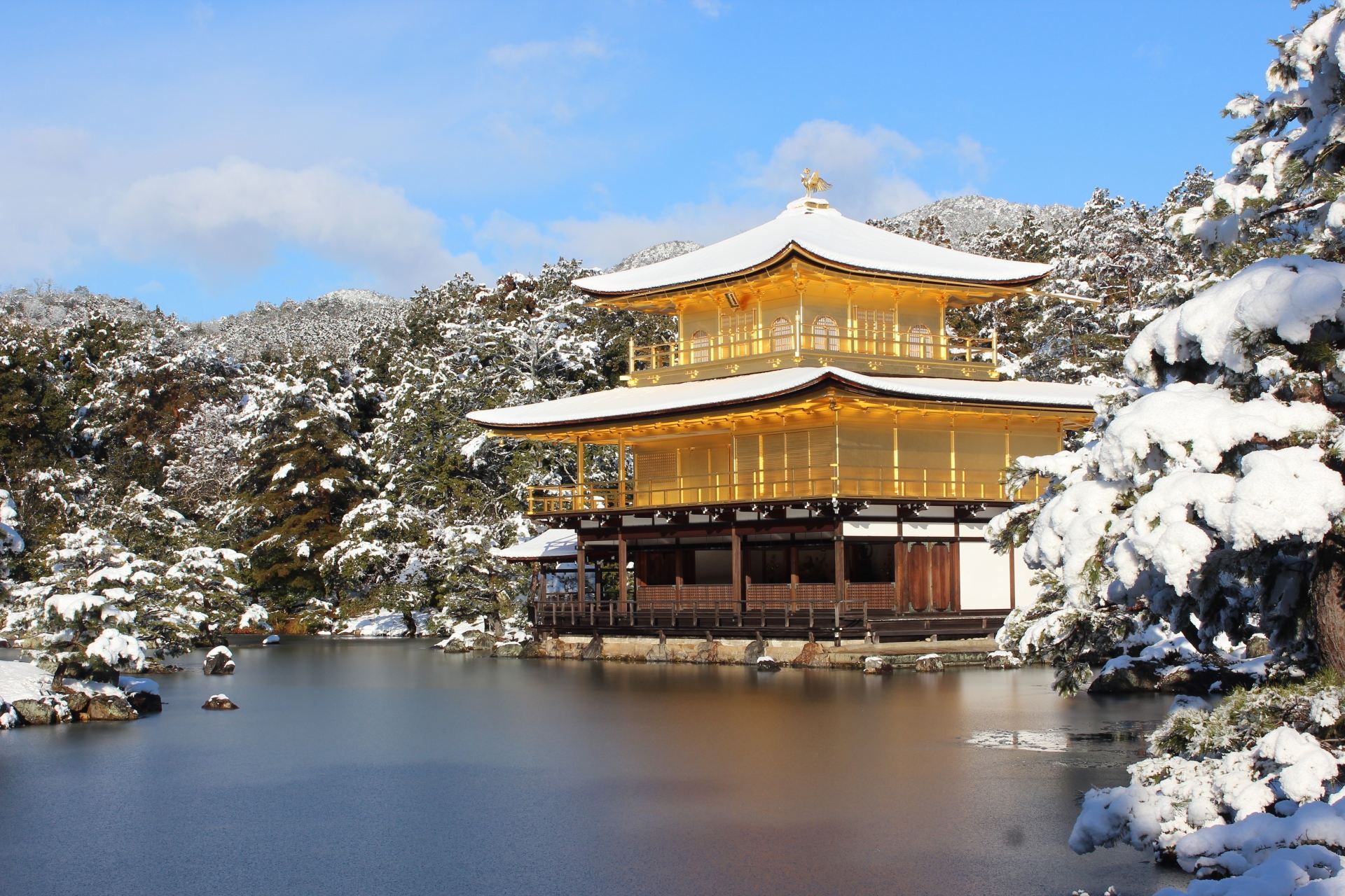 Tour di un giorno ad Arashiyama, Santuario di Fushimi Inari-taisha e Parco di Nara a Kyoto con opzione di upgrade per il pasto con carne di Kobe