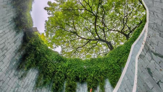 新加坡福康寧公園+小印度+甘榜格南+哈芝巷+濱海灣花園一日遊