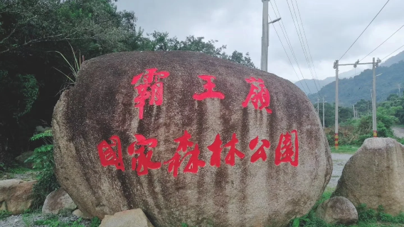 昌江一日遊—霸王嶺-棋子灣+包車接送