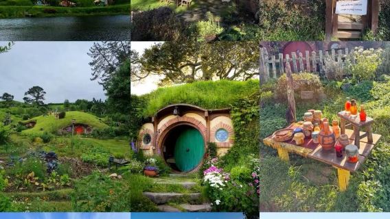 4. [Aventura en la Tierra Media] Excursión de un día al pueblo Hobbit + aldea maorí de Te Puia con servicio de coche privado con conductor