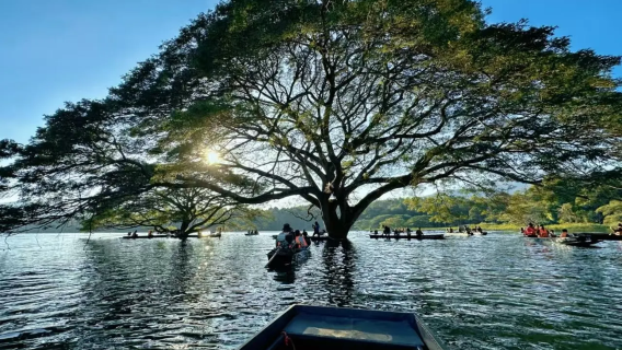 ทัวร์ 1 วัน สำรวจสถานที่ลับในเชียงใหม่ ถ่ายรูปกับต้นไม้กลางน้ำสุดฮิต|สามารถจับคู่กับช้างล้านนา|รวมบริการรับส่ง