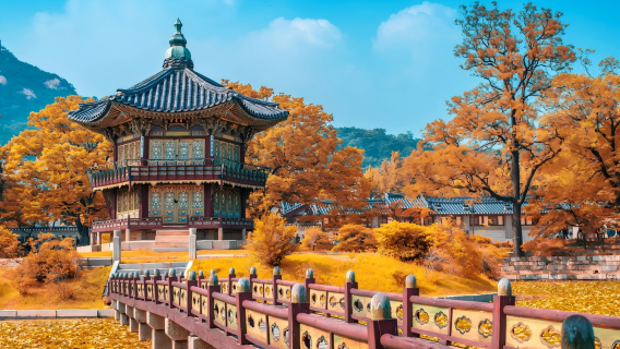 Lawatan sehari pakej berkumpulan dalam bahasa Cina di bandar Seoul + Istana Gyeongbokgung + Bukchon Hanok Village + Insadong + Menara Seoul