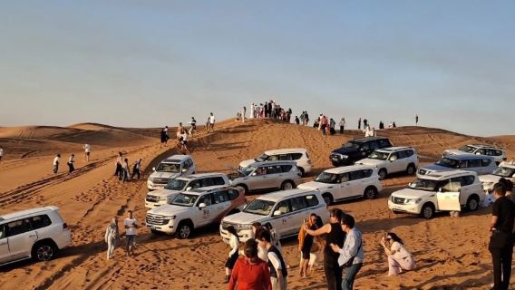 Desert Safari Including Dune Bashing, BBQ Dinner, Live Shows (Belly Dance, etc)