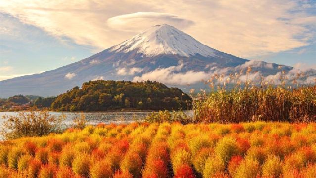 東京富士山山中湖白鳥船+河口湖一日遊【9人精品團|可選酒店接送|中文服務|純玩】