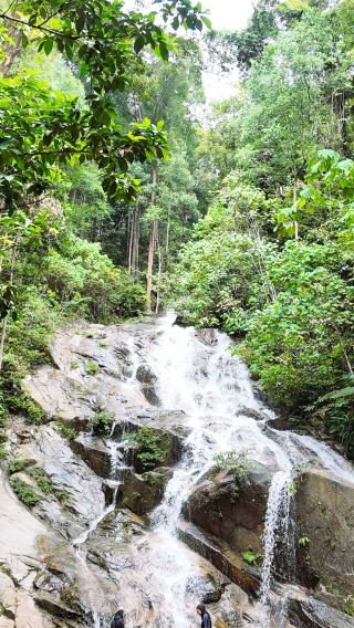 Kanching Waterfalls Nature Retreat with Eagle Feeding, Fireflies & Blue Tears - Private