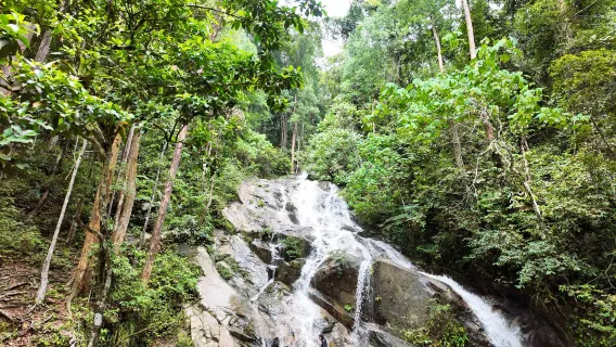 Retiro Natural en las Cataratas de Kanching con Alimentación de Águilas, Luciérnagas y Lágrimas Azules - Privado