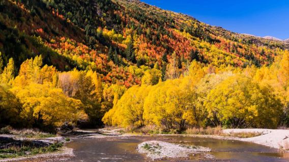 Queenstown, New Zealand pergi-balik: Arrowtown + Glenorchy + Tasik Wanaka, lawati Arrowtown Autumn Festival