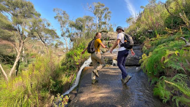 Однодневный тур с гидом и пешим походом по Голубым горам | Городок Леура + Скалы Три сестры + Смотровая площадка Висячий камень