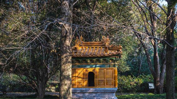The Ming Tomb + live guide (ticket optional) + time slot optional + duration optional