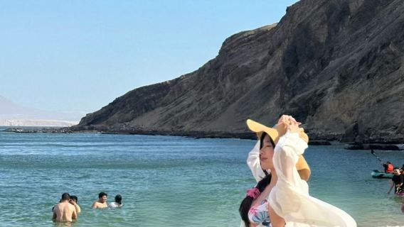 Passeio de um dia com carro privativo: Lima, Peru + Reserva Nacional de Paracas + Ilhas Ballestas