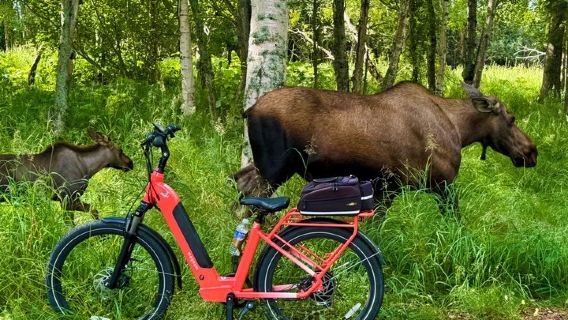 EBIKE - Wilderness Trails of Anchorage