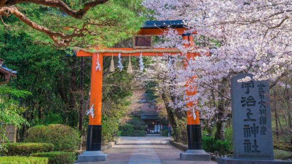 Półdniowa wycieczka po Kioto: Tysiące bram torii w Fushimi Inari + podwójne dziedzictwo UNESCO - świątynia Byōdō-in w Uji + chram Ujigami
