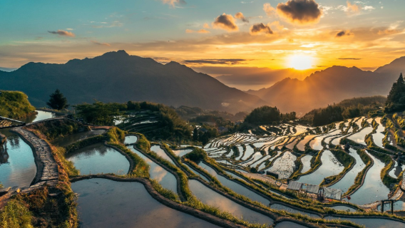 Lawatan sehari Lishui [Teres Sawah Yunhe + Kampung Lukisan Guyan] tanpa pertukaran | terus ke puncak gunung