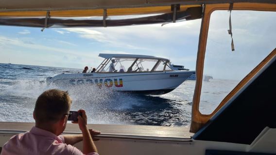 Split: Bisevo, Vis, and Hvar Boat Tour with Snorkel Stops