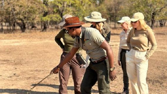 Guided Victoria falls tour - Zambia