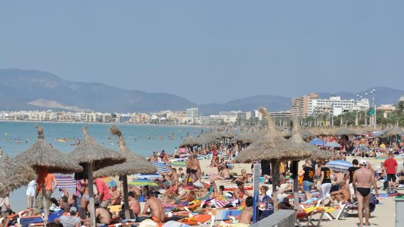 Mallorca: Ballermann Party Full-Day Tour