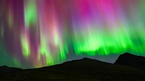 Tromsø: Aventura para Ver as Luzes do Norte com Guia e Fotos