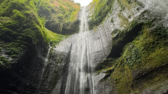 Indonesia Surabaya: 1-day tour to Mt Bromo + Madakaripura Waterfall / private charter including admission ticket