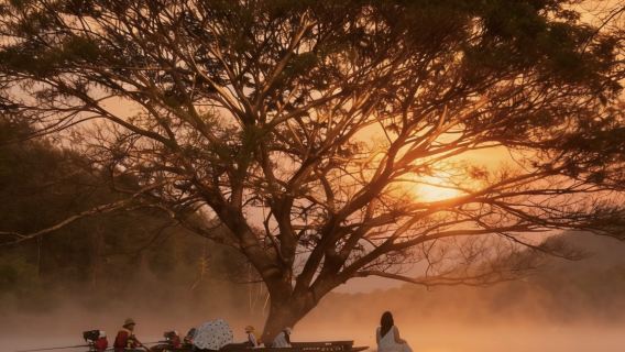Passeio de meio dia: Cachoeira Pegajosa + Pôr do sol romântico no Parque da Árvore da Chuva