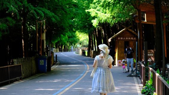 撈漁河+斗南花市+昆明老街+《雲南映象》演出包車一日遊含門票
