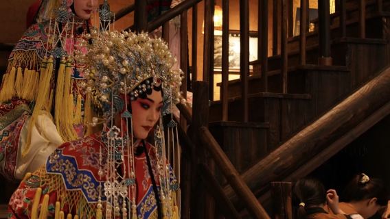 Xi'an Local Culture: Xi'an Museum&Small Wild Goose Pagoda & Old Teahouse Experience