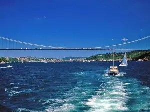 Short Guided Bosphorus and Golden Horn Boat Tour 