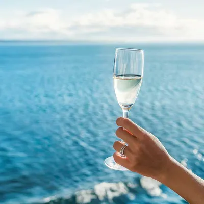 Sea World Cruises Champagne Breakfast Cruise