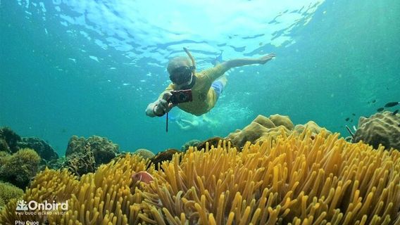 Phu Quoc IslandTours