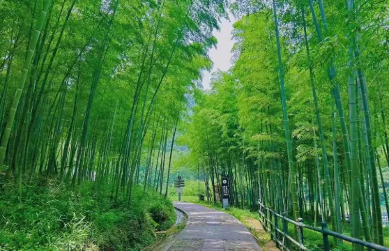 龍津溪地門票成人