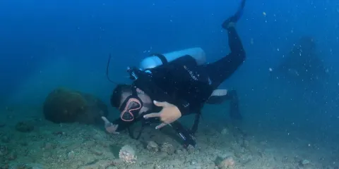 芽莊探索水肺潛水遊