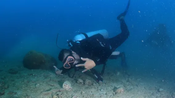 Featured tour with 17 reviews: Nha Trang Discover Scuba Diving Tour