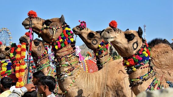 JaipurTours