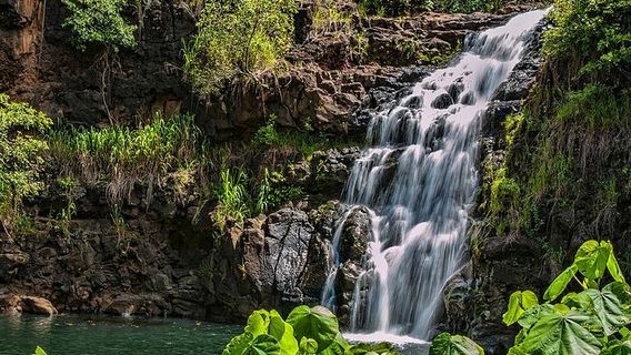 HonoluluTours