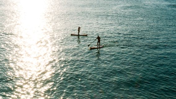 NewquayTours