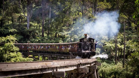 Melbourne Puffing Billy Steam Train & Phillip Island Penguin Parade one-day tour