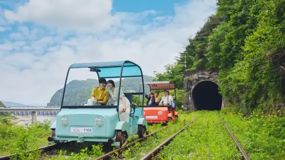 ทัวร์วันเดียว/ทัวร์หลายวัน เกาะนามิ + สวนสนุกรถไฟคังชอน + หมู่บ้านฝรั่งเศส + สวน Garden of Morning Calm