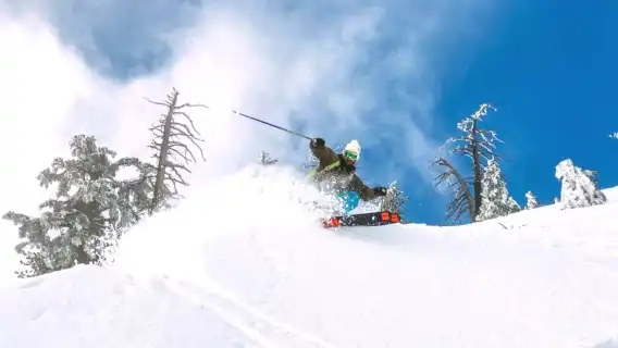 일본 홋카이도 오타루 아사리가와 스키 리조트 당일 치기 여행: 중국어 및 영어 가능 스키 강사 및 장비(선택 사항)