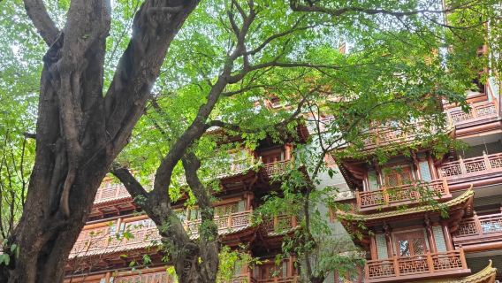 廣州陳家祠+沙面+廣州塔+珠江夜遊半日遊【私家團上門接送】