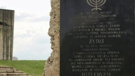 プラショフ・クラクフ：ガイド付きツアー