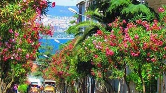 Istanbul : Excursion aux Îles des Princes + Déjeuner et 2 Îles