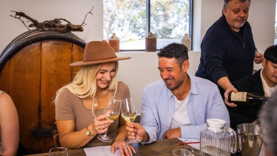 Sydney Hunter Valley 1-day tour with Chinese guide, winery tasting, exquisite lunch, chocolate tasting, no extra fees