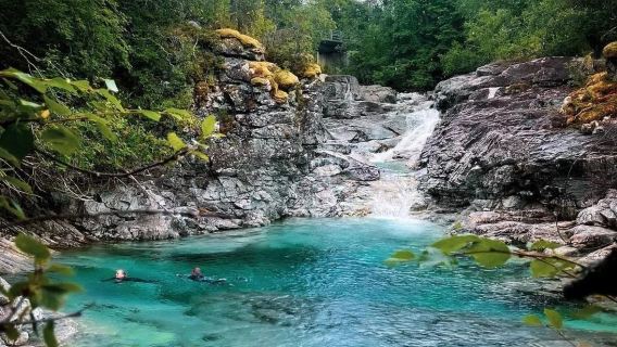 Norway + Fishmarket in Bergen + Fløyfjellet + Bergen Port 1-day tour [Private charter service]