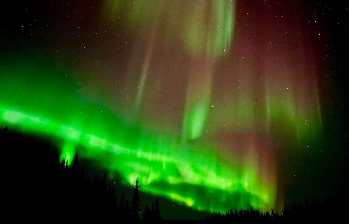 Tour di un giorno alla caccia alle luci del nord nella natura selvaggia di Birch Hill a Fairbanks, Alaska, USA