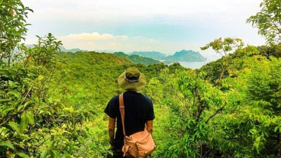 HaiphongTours
