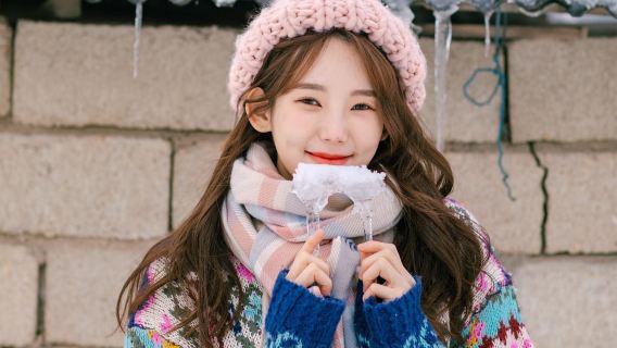 쿠사다시데이 투어