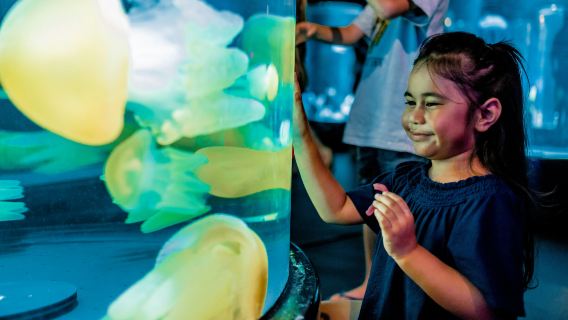 Sydney: Ultimate Pass with 5 Attractions